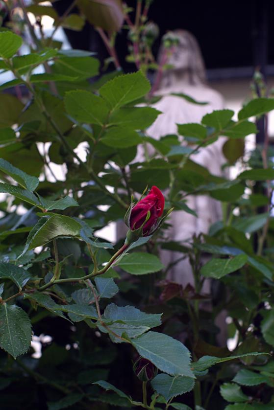 DSC03877.jpg