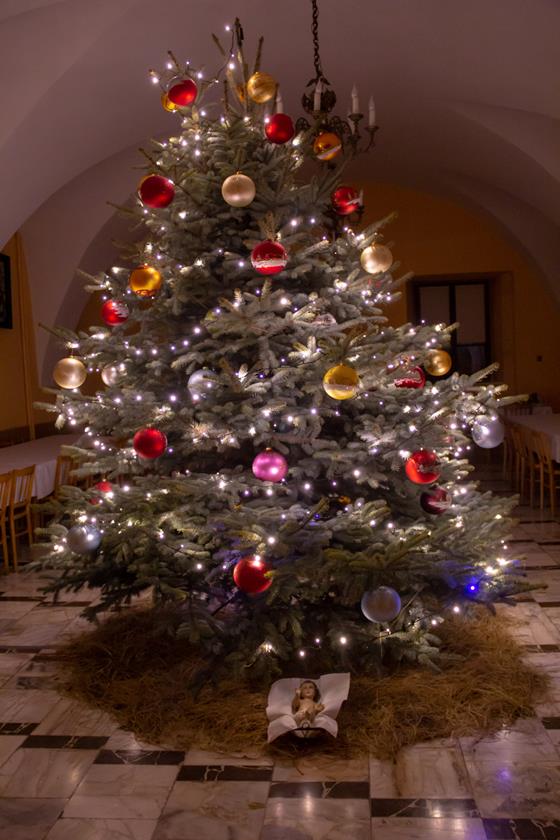 20181224 F. Wielgut 1500.jpg